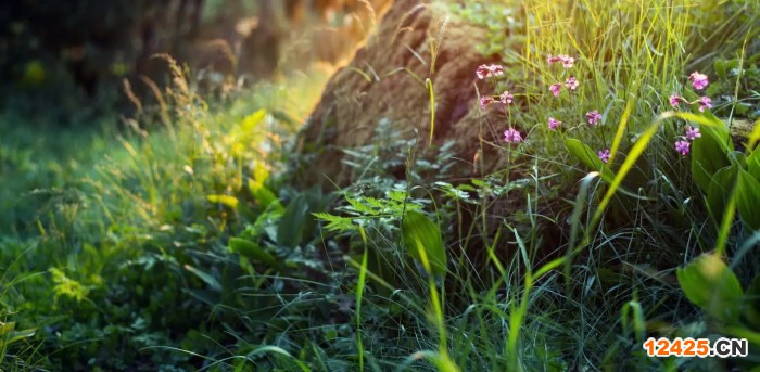 小工廠需要申請(qǐng)ISO體系認(rèn)證嗎