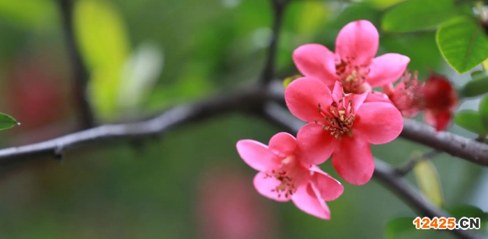 ISO審核是一年一次嗎