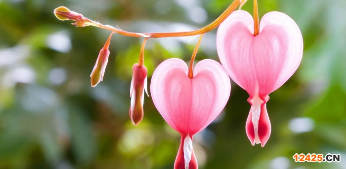 雙鴨山iso認(rèn)證是什么