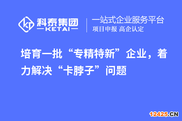 培育一批“專精特新”企業(yè)，著力解決“卡脖子”問題