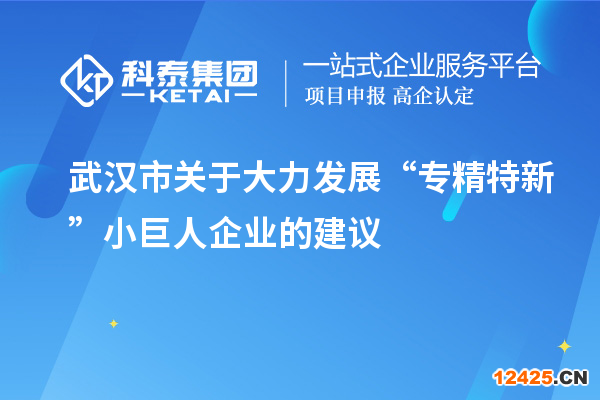 武漢市關(guān)于大力發(fā)展“專精特新”小巨人企業(yè)的建議