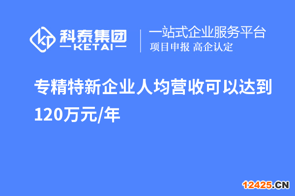 專精特新企業(yè)人均營收可以達到 120萬元/年