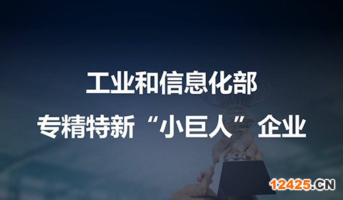 專精特新“小巨人”企業(yè)申請(qǐng)