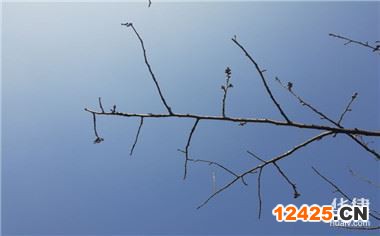 什么才是高企認定