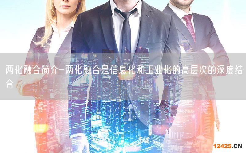 兩化融合簡介-兩化融合是信息化和工業(yè)化的高層次的深度結(jié)合(0) 兩化融合簡介-兩化融合是信息化和工業(yè)化的高層次的深度結(jié)合(0)