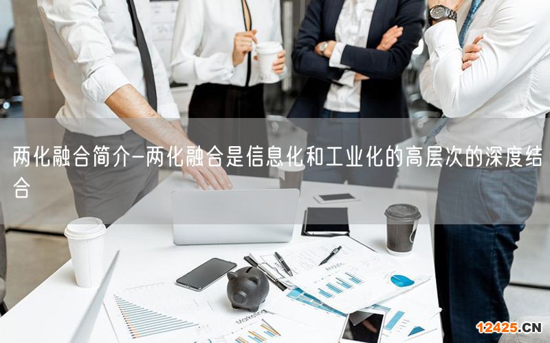 兩化融合簡介-兩化融合是信息化和工業(yè)化的高層次的深度結(jié)合(3) 兩化融合簡介-兩化融合是信息化和工業(yè)化的高層次的深度結(jié)合(3)