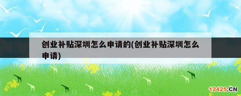 創(chuàng)業(yè)補(bǔ)貼深圳怎么申請(qǐng)的(創(chuàng)業(yè)補(bǔ)貼深圳怎么申請(qǐng))