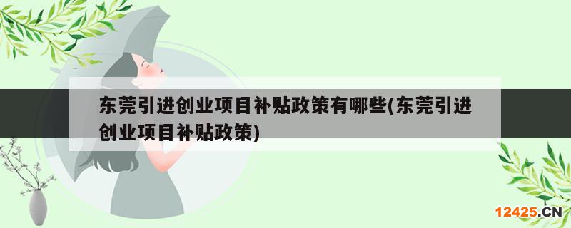 東莞引進創(chuàng)業(yè)項目補貼政策有哪些(東莞引進創(chuàng)業(yè)項目補貼政策)
