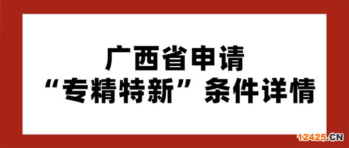 廣西省申請專精特新條件詳情