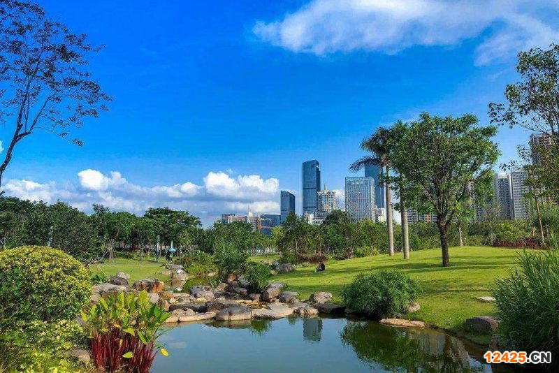 2023年深圳小升規(guī)需要資料