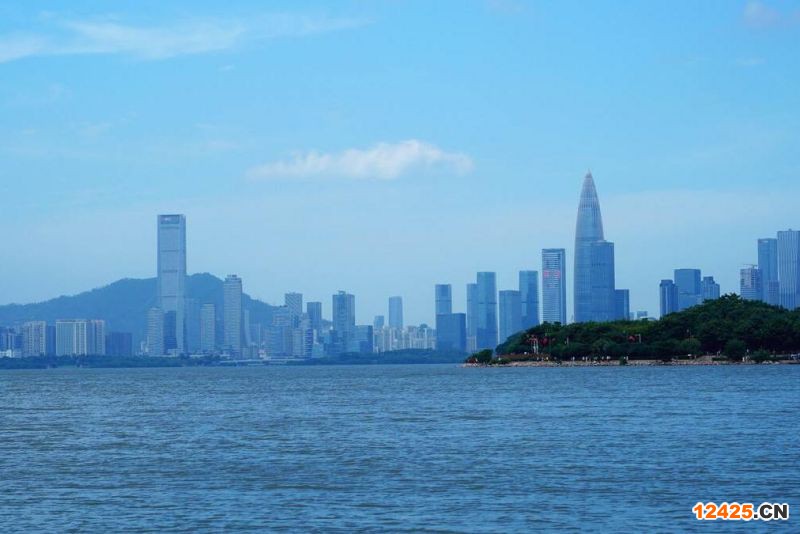 2023年深圳主題特新摘要