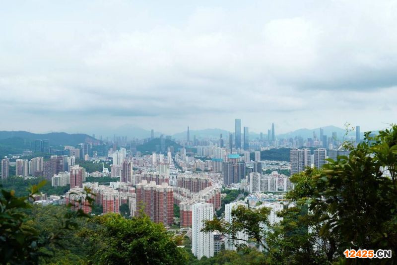 2023年深圳政治特新小巨人