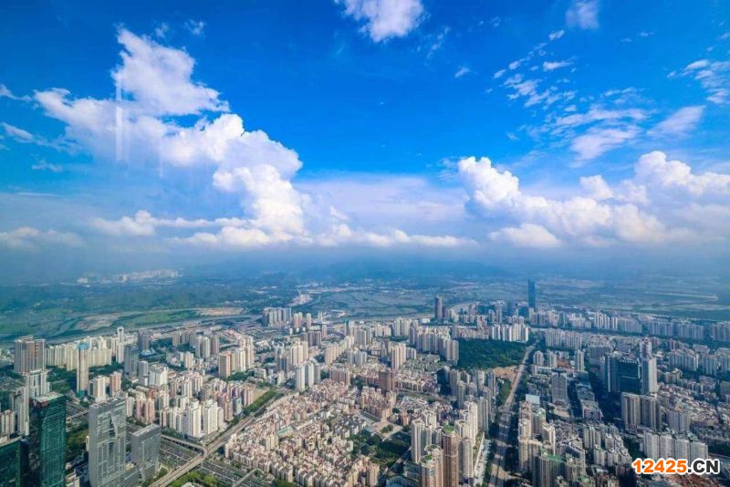 2023年深圳國支持特新重點小巨人實施期指標(biāo),,,,