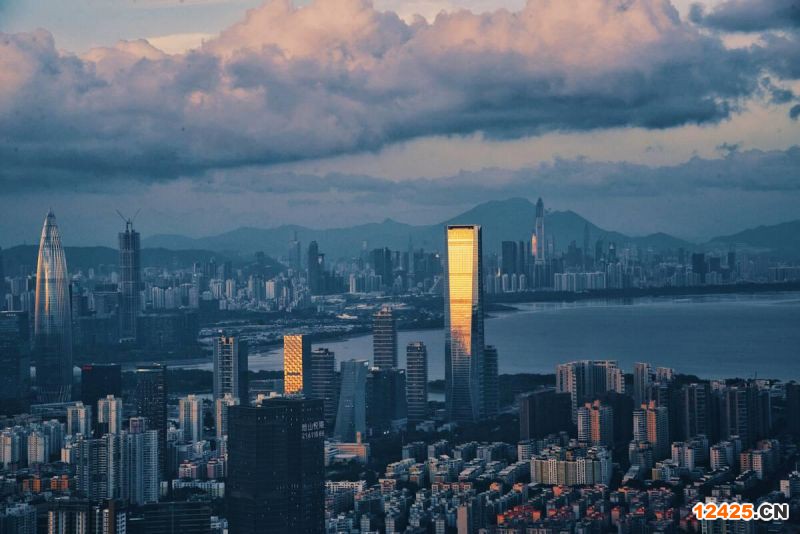 2023年深圳國小巨人企業(yè)數(shù)量