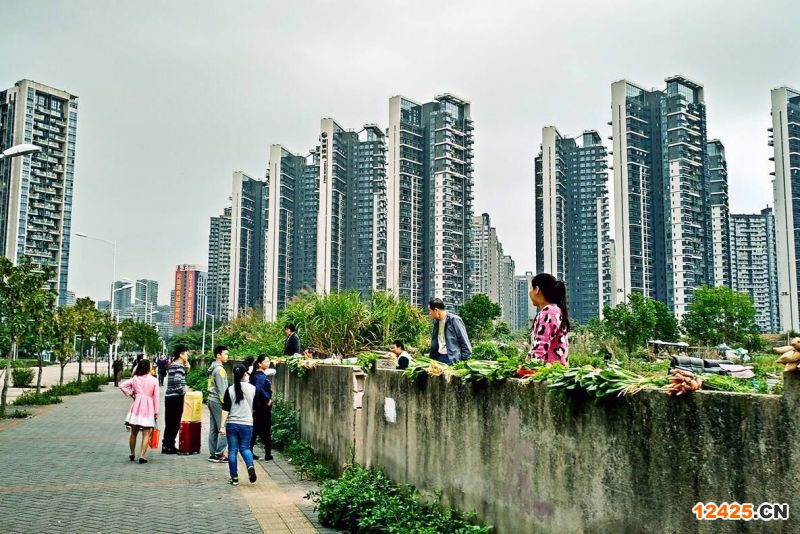 2023年深圳小升規(guī)怎么報(bào)名