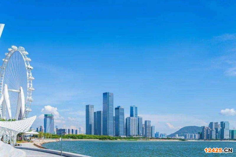 2023年深圳重點特新小巨人企業(yè)