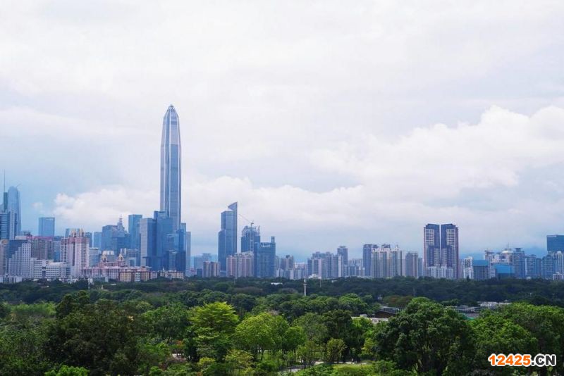 2023年深圳特新小巨人申報報告