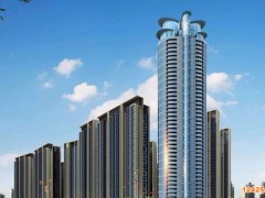 2023年深圳小巨人商標(biāo)圖標(biāo)申報流程