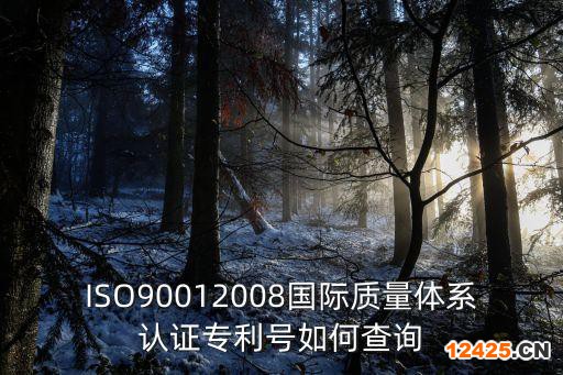 ISO90012008國際質(zhì)量體系認(rèn)證專利號如何查詢