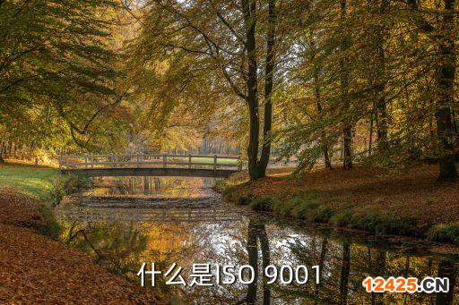 什么是ISO 9001
