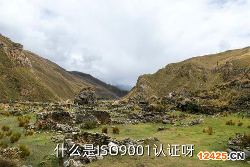 什么是ISO9001認(rèn)證呀