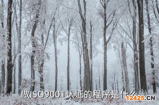 做ISO9001認(rèn)證的程序是什么