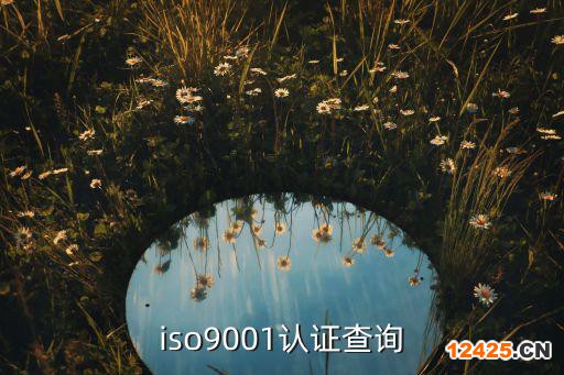 iso9001認(rèn)證查詢(xún)