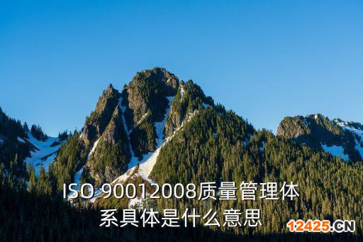 ISO 90012008質(zhì)量管理體系具體是什么意思