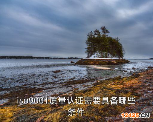 iso9001質(zhì)量認(rèn)證需要具備哪些條件