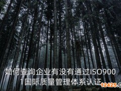 想查一個(gè)單位是不是當(dāng)?shù)厥准耀@得ISO9001國(guó)際管理體系認(rèn)證的單位