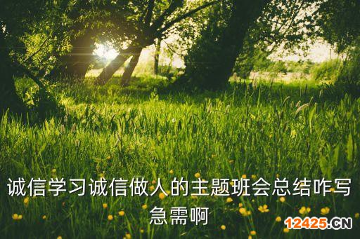 誠信學習誠信做人的主題班會總結(jié)咋寫急需啊