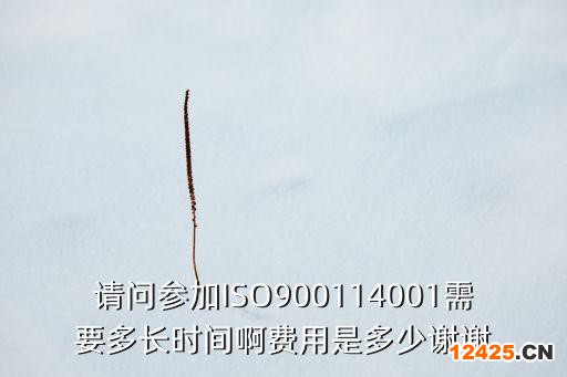 請問參加ISO900114001需要多長時間啊費用是多少謝謝