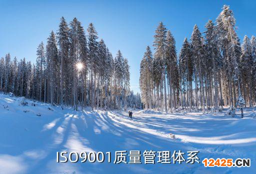 ISO9001質(zhì)量管理體系