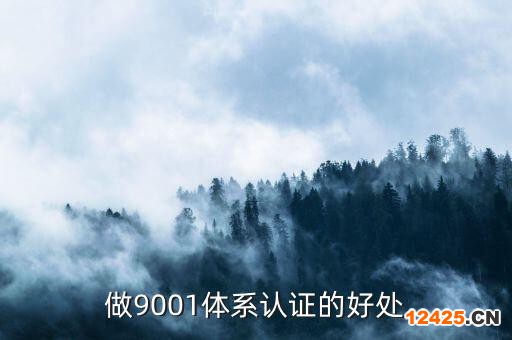 做9001體系認(rèn)證的好處