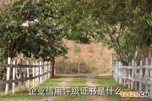 企業(yè)信用評(píng)級(jí)證書(shū)是什么