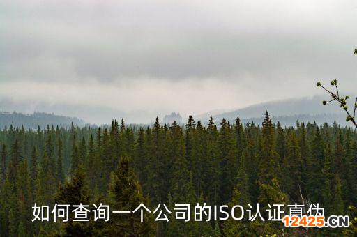 如何查詢一個(gè)公司的ISO認(rèn)證真?zhèn)? /></p>
<h2 id=