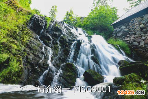 請介紹一下ISO9001