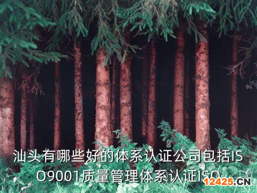 汕頭有哪些好的體系認證公司包括ISO9001質(zhì)量管理體系認證ISO