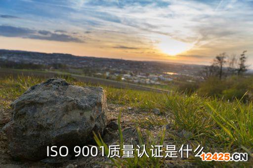 ISO 9001質(zhì)量認(rèn)證是什么