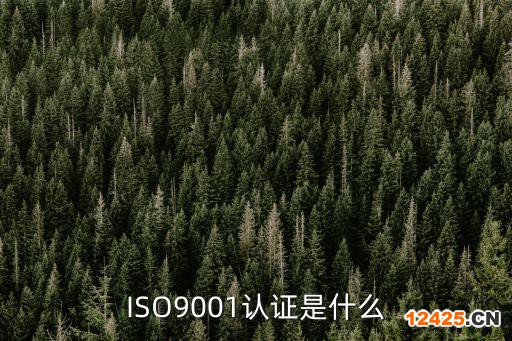 ISO9001認(rèn)證是什么