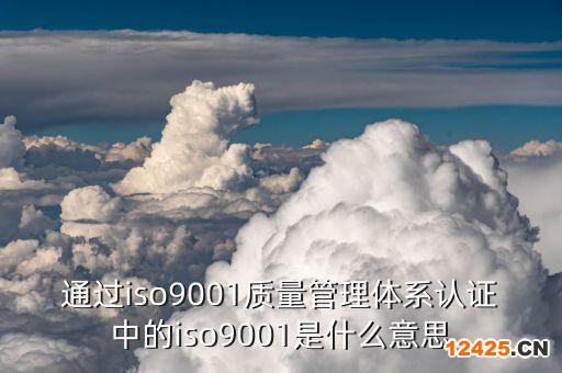 通過(guò)iso9001質(zhì)量管理體系認(rèn)證中的iso9001是什么意思
