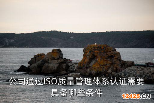 公司通過ISO質(zhì)量管理體系認(rèn)證需要具備哪些條件