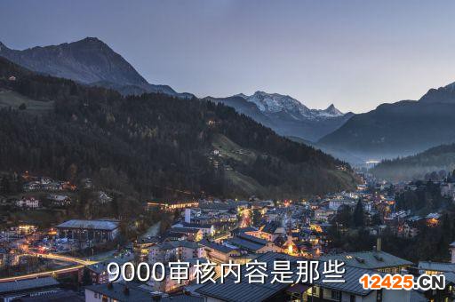 9000審核內(nèi)容是那些