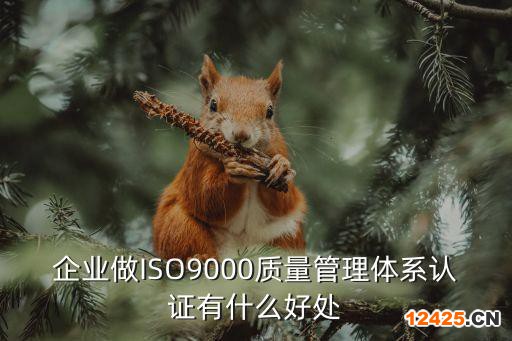 企業(yè)做ISO9000質(zhì)量管理體系認(rèn)證有什么好處