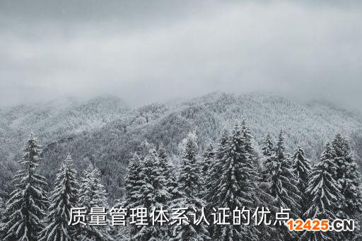 質(zhì)量管理體系認(rèn)證的優(yōu)點