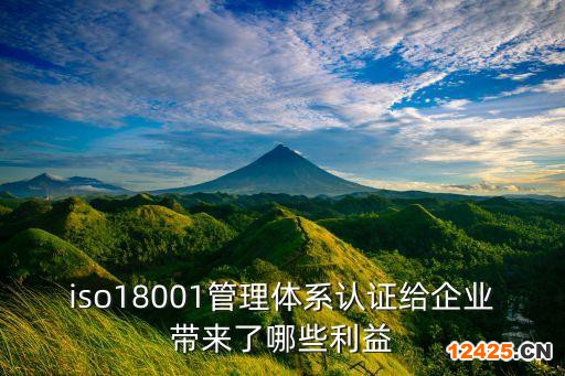 iso18001管理體系認(rèn)證給企業(yè)帶來了哪些利益