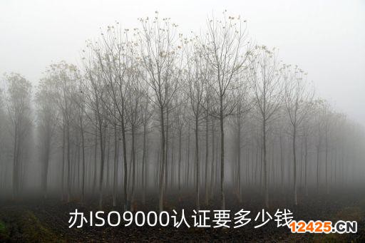 辦ISO9000認(rèn)證要多少錢
