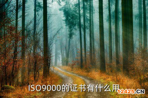 ISO9000的證書有什么用
