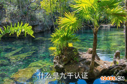什么是九千認(rèn)證