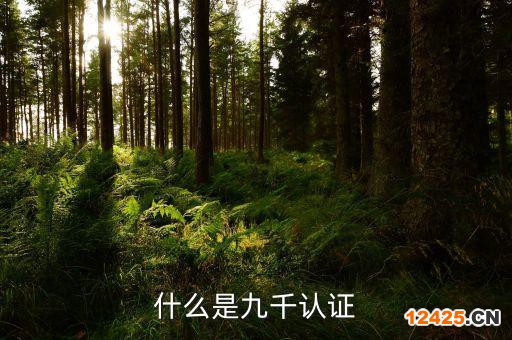 什么是九千認(rèn)證